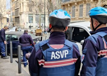 Les ASVP habilités à la mise en fourrière peuvent être mobilisés sur l'ensemble du territoire marseillais (crédit : RL)