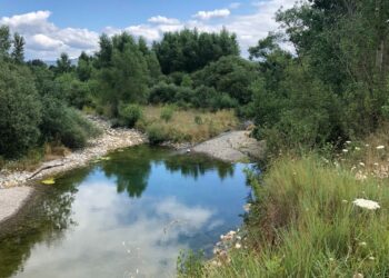 Préserver la ressource en eau, une priorité par temps de sécheresse (Crédit Gomet')