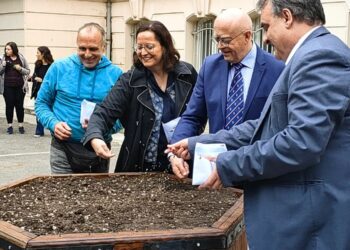 abeilles Aix-Marseille Université