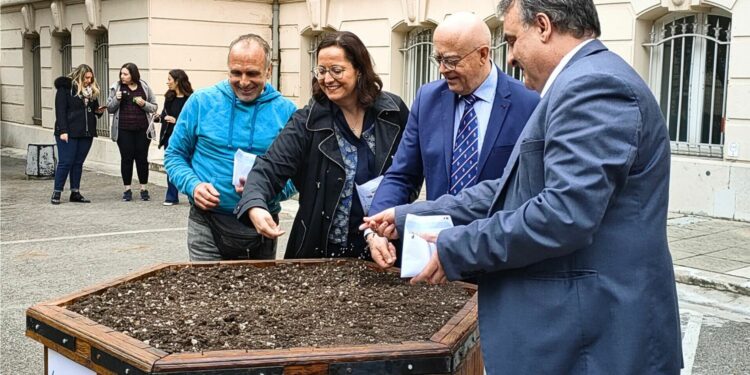 abeilles Aix-Marseille Université