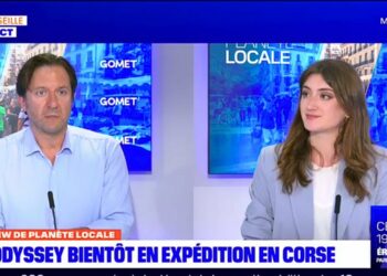 Planète locale Platypus Kraft Blue Odyssey