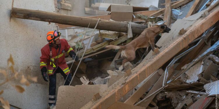 Les recherches se poursuivent rue de Tivoli après l'effondrement d'un immeuble dan sla nuit de samedi à dimanche (Crédit BMPM/Julien Sionneau)