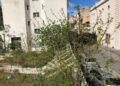 Les actifs de Bourbon dans le quartier sont nombreux comme ce terrain vague où un projet immobilier est en préparation en bordure du square Lamy (Crédit Gomet'/JFE)
