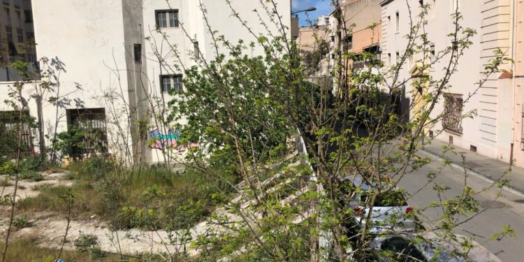 Les actifs de Bourbon dans le quartier sont nombreux comme ce terrain vague où un projet immobilier est en préparation en bordure du square Lamy (Crédit Gomet'/JFE)