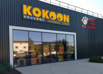 KoKoon Animal Shop