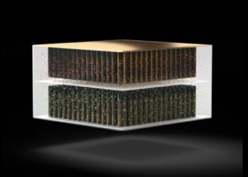 Nawa Technologies se recentre sur la production de nanotubes de carbones verticalement alignés