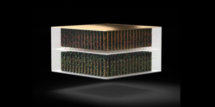 Nawa Technologies se recentre sur la production de nanotubes de carbones verticalement alignés