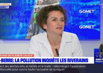 Fos-Berre : entre industriels et riverains, « la cohabitation est possible » (G.Hourdin)
