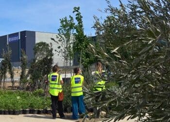 Le parc des Aiguilles Ensuès