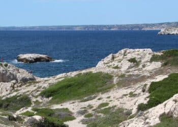 850 hectares marins autour du Frioul passent sous protection du Conservatoire du littoral