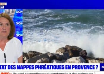 Laurence Perez, directrice régionale de Suez France, sur le plateau de BFM Marseille Provence lundi 3 juillet (crédit : BFM Marseille Provence)