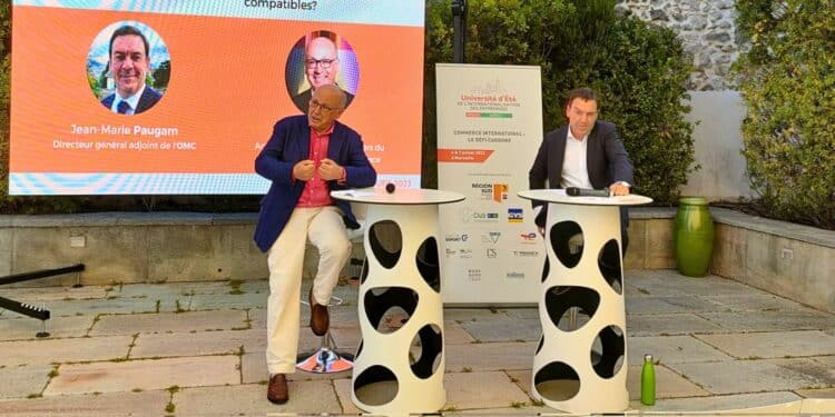 décarbonation commerce Villa Gaby OMC