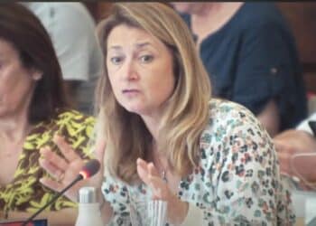 Anne-Laurence Petel lors du conseil municipal d'Aix vendredi 21 juillet (crédit capture d'écran Aix ma ville)