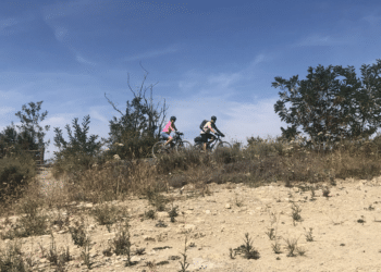 Des sols desséchés, une végétation en stress hydrique, image de l'été 2023 (crédit Gomet')