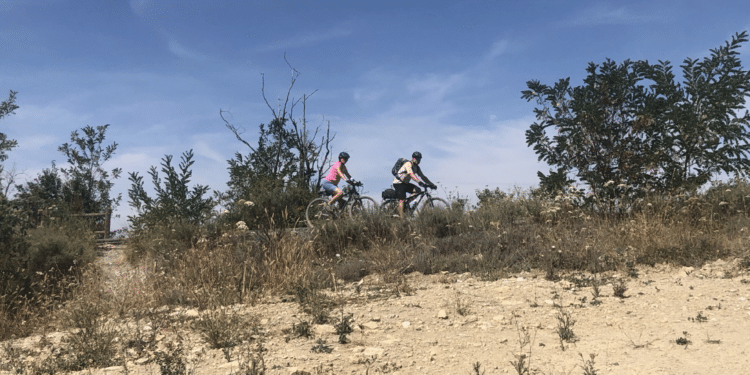 Des sols desséchés, une végétation en stress hydrique, image de l'été 2023 (crédit Gomet')