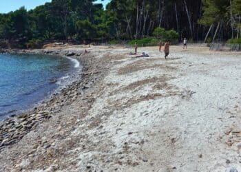 La plage de Saint-Asile, à Saint-Mandrier. On distingue trois couches : les galets, les posidonies et le sable, selon la technique dite du "millefeuille" (crédit : APE Saint-Mandrier)