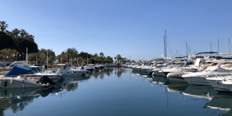 Marina à Cannes (Crédit Gomet'/JFE)