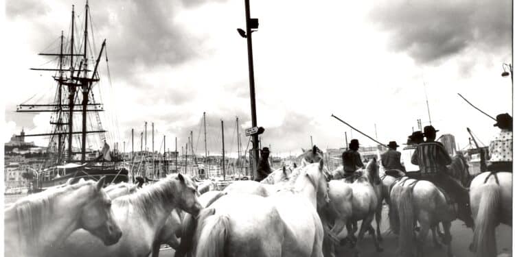 [Musiques] Une Fiesta des Suds 2023 exceptionnelle, en hommage à Bernard Aubert