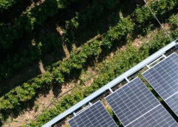 Ombrea vient d'être rachetée par Totalenergies (crédit : DR)