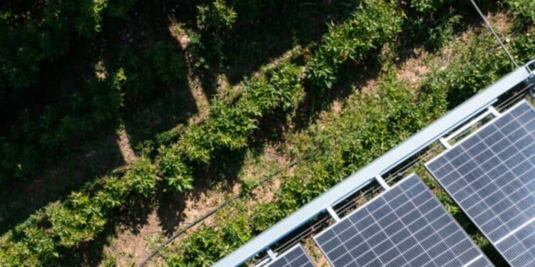 Ombrea vient d'être rachetée par Totalenergies (crédit : DR)