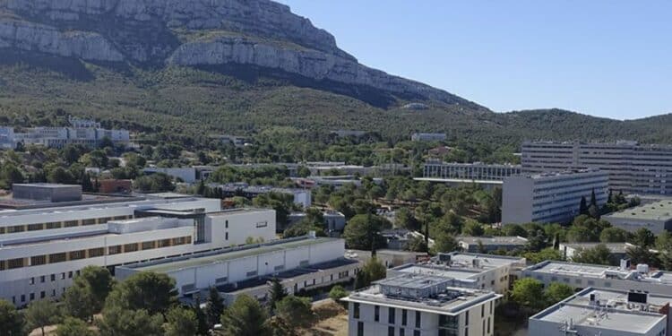 L'association Grand Luminy crée la marque Umany pour avoir davantage d'impact sur le territoire métropolitain (crédit : DR)