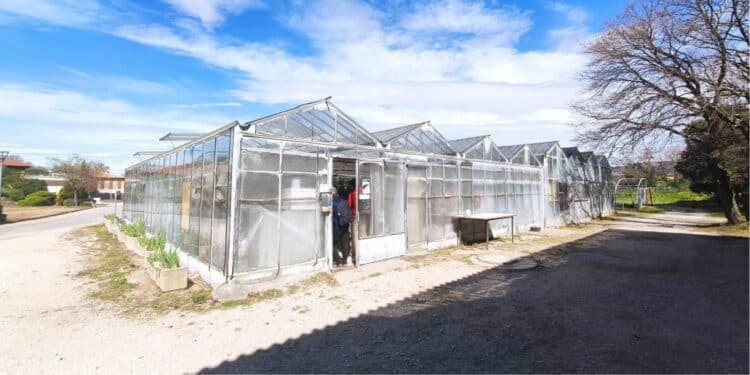 Dans le Vaucluse, le Geres a accompagné la mise en place de cette serre multi-chapelles sur le Campus Provence Ventoux (crédit : Geres )