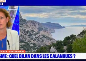 Gaëlle Berthaud, directrice générale du Parc des Cala,nquies, était l'invitée de l'émission du 18 septembre sur Planète locale (crédit : BFM Marseille Provence)