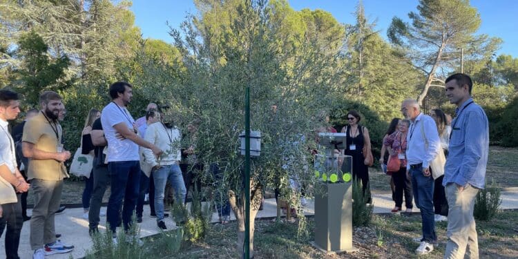 Dans le verger de Cearitis (Crédit Gomet' / Juliette Matilla)