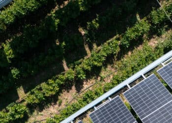 Le spécialiste de l’agrivoltaïsme Ombrea (Aix) racheté par TotalEnergies