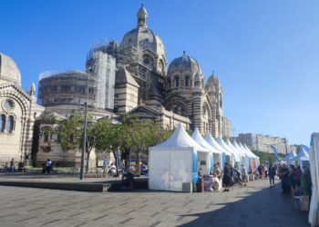 [Reportage] Village des Rencontres méditerranéennes : 80 exposants devant la cathédrale de La Major