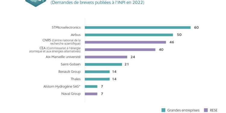 Les dépôts de brevets en 2022 parmi les grands comptes du territoire (Crédit INPI)