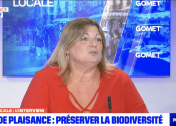 Véronique Tourrel-Clément (Crédit capture BFM Marseille Provence)