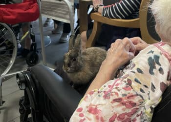 [Reportage] Les animaux pour soigner les maux