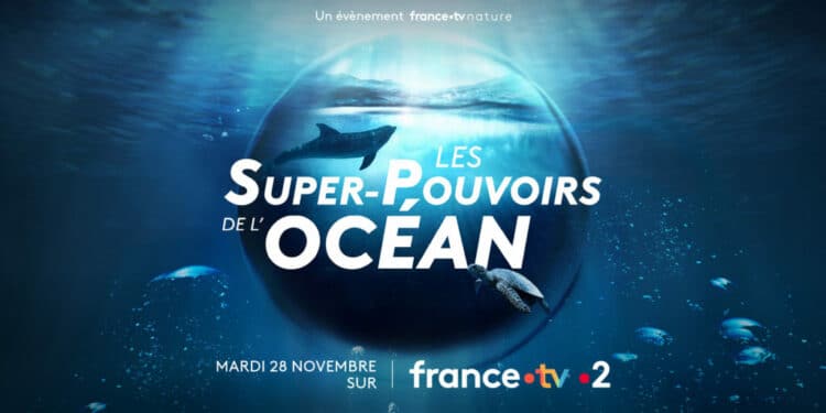 Ce soir sur France 2, FNE défend la « protection des petits fonds côtiers de Méditerranée »