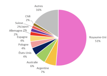L'origine par pays étrangers des visiteurs durant la Coupe du monde de rugby (Crédit CRT - Provence Tourisme).