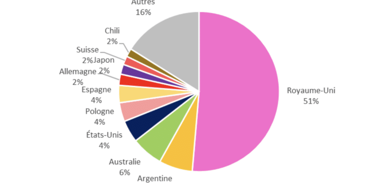 L'origine par pays étrangers des visiteurs durant la Coupe du monde de rugby (Crédit CRT - Provence Tourisme).