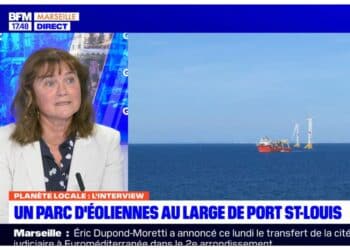 Christine de Jouëtte, directrice de Provence grand large sur le plateau de Planète locale (crédit : BFM Marseille Provence)