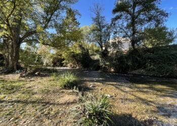 Arc fleuve vivant : une nouvelle sentinelle pour protéger la rivière