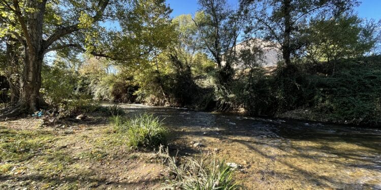 Arc fleuve vivant : une nouvelle sentinelle pour protéger la rivière