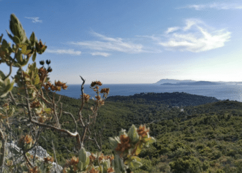Parc national de Port-Cros
