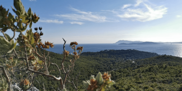 Parc national de Port-Cros