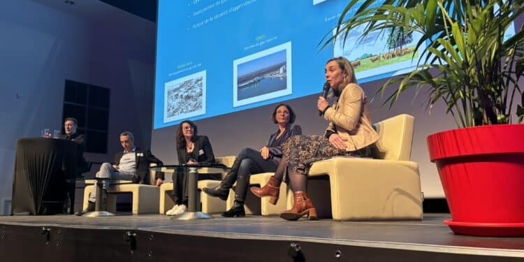 Bérangère Préault déléguée territoriale Rhône Méditerranée de GRT Gaz