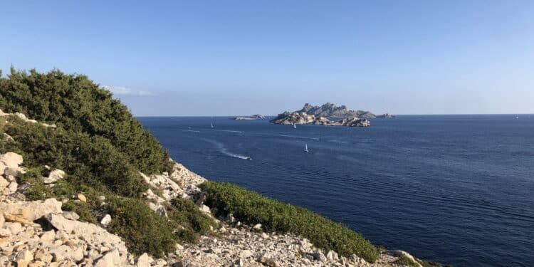 Faire sentier propre. Citeo et le Parc des calanques s'allient contre les déchets (Crédit Gomet')