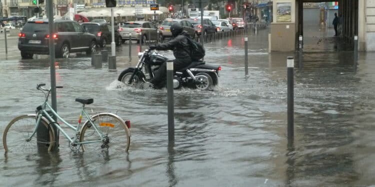 Inondations du port de Marseille (Crédits photo : François Roberi)