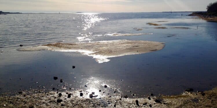 Étienne Ballan : « Le débat public doit créer un cadre de confiance pour la stratégie maritime »