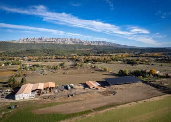 Tenergie (Meyreuil) crée deux co-entreprises avec des caisses du Crédit Agricole et des coopératives