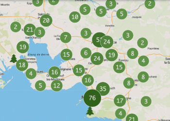 Sapins de Noël : une forêt de points de collecte (Crédit MAMP)