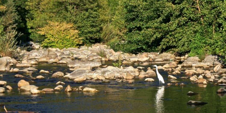 Le pôle Aqua-Valley Sud et Occitanie labellisé « pôle de compétitivité »