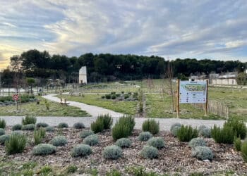 Eguilles : l’éco-parc dédié au vivant du quartier du Cros prend racine