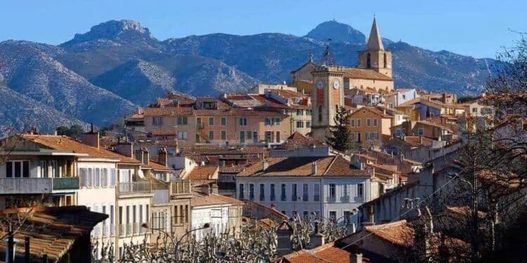 Aubagne obtient le label de « Ville amie des animaux »